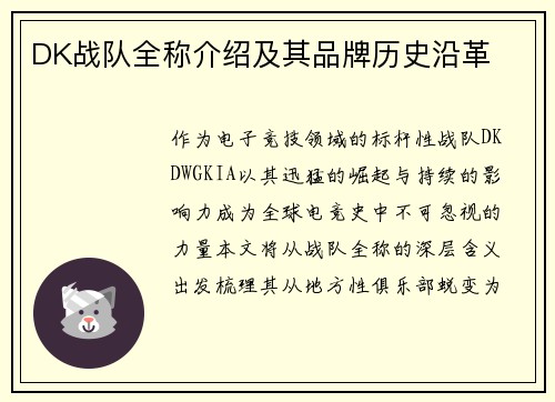 DK战队全称介绍及其品牌历史沿革